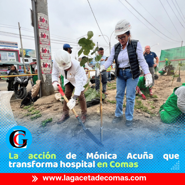 Alcaldesa de Comas impulsa arborización en hospital Sergio Bernales