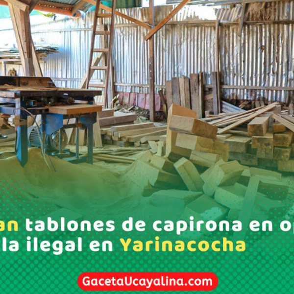 Autoridades intervienen aserradero clandestino con madera ilegal en Yarinacocha
