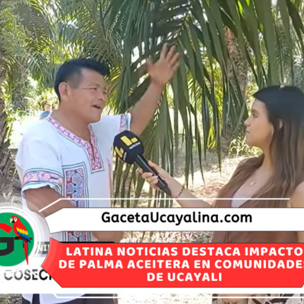 Medio de Comunicación Latina noticias destaca desarrollo de CC.NN. por la Palma Aceitera