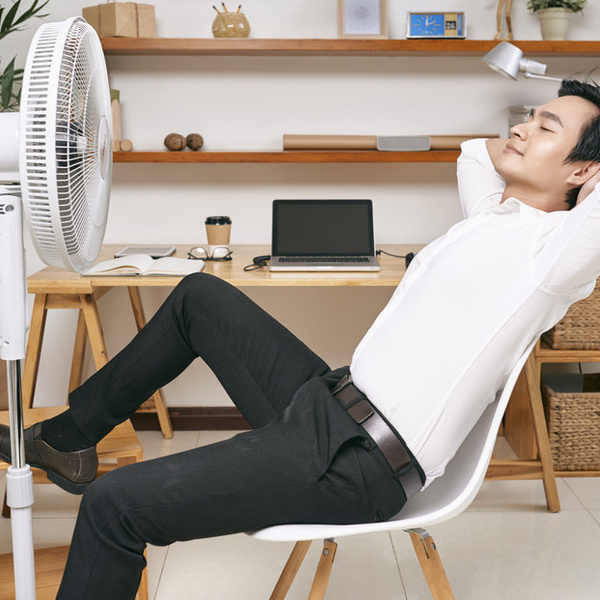 Ventilador: qué considerar para refrescar el hogar en climas cálidos